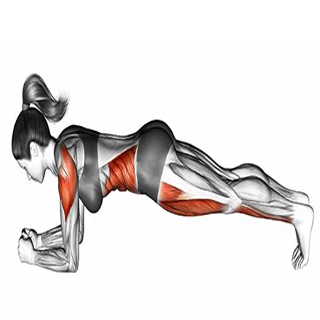 Plank 1m